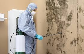 Trusted Grinnell, IA Mold Inspection Experts